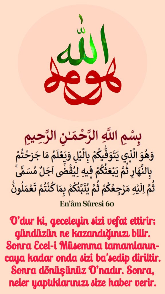 Rastgele görsel