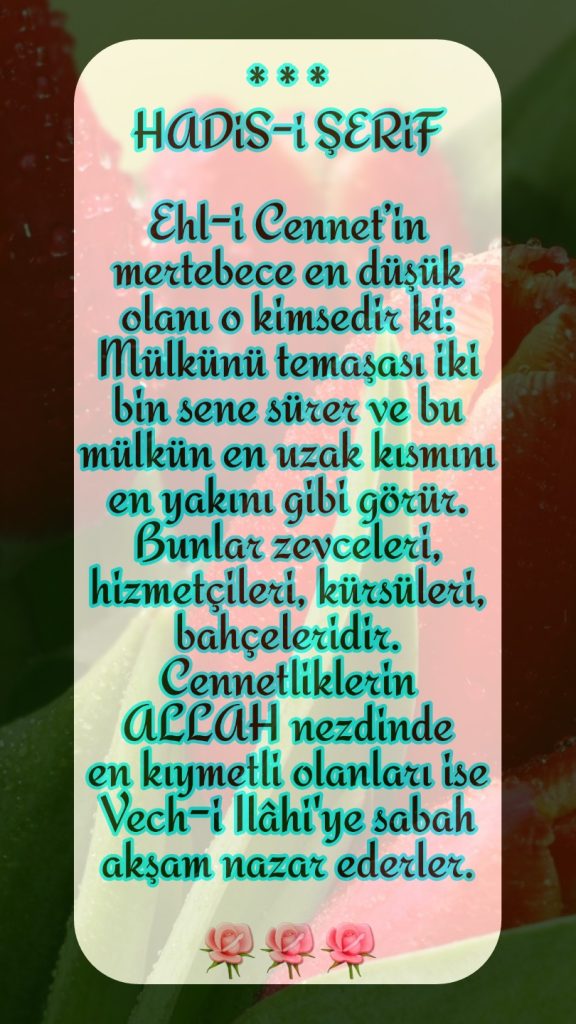 Rastgele görsel