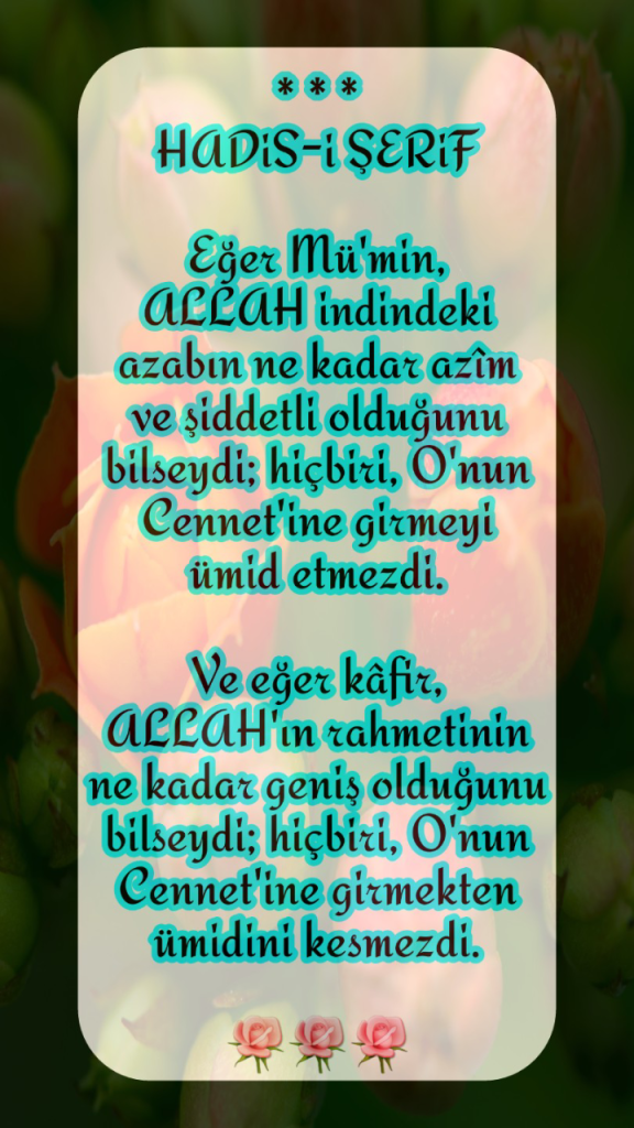 Rastgele görsel